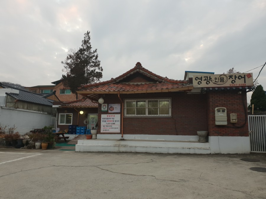 영광민물장어 이미지
