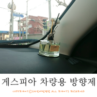 디아이티코리아 이미지
