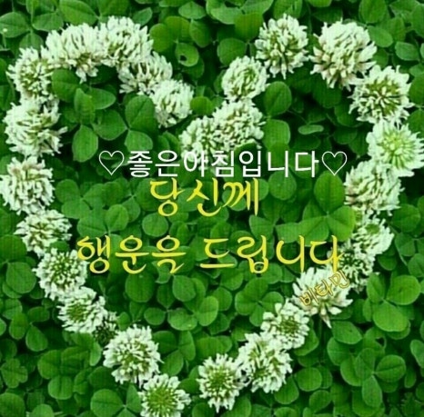 김연헤어 이미지