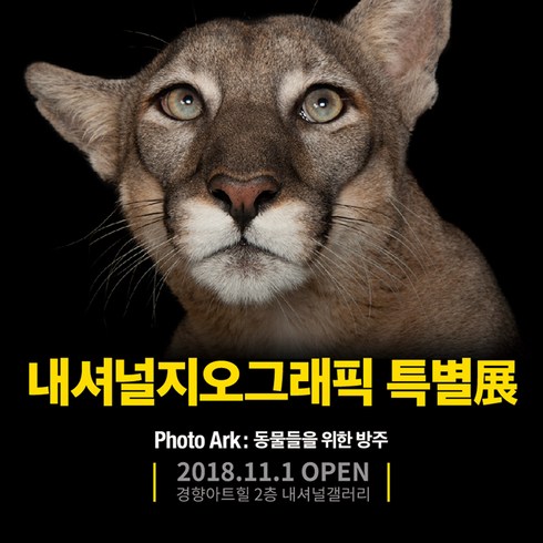 내셔널지오그래픽 이미지
