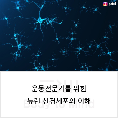 더뉴런 이미지