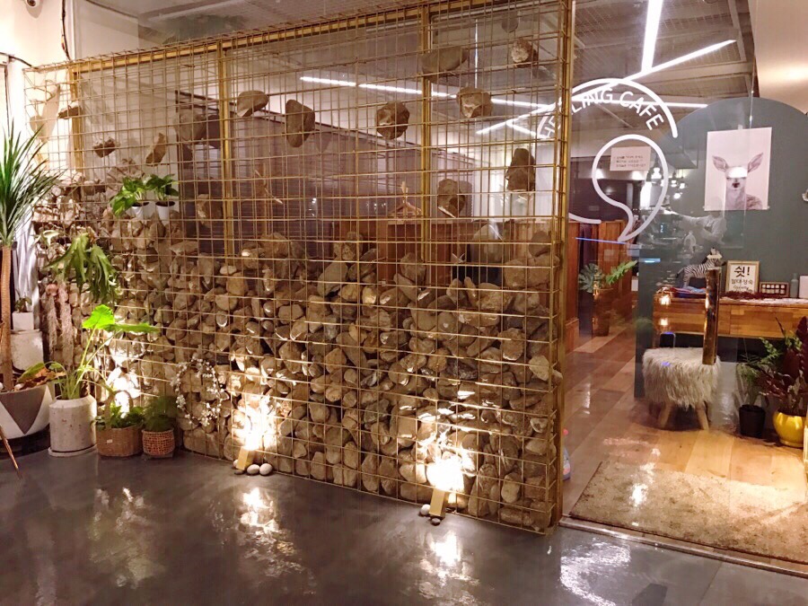 카페힐링(cafe healing) 이미지