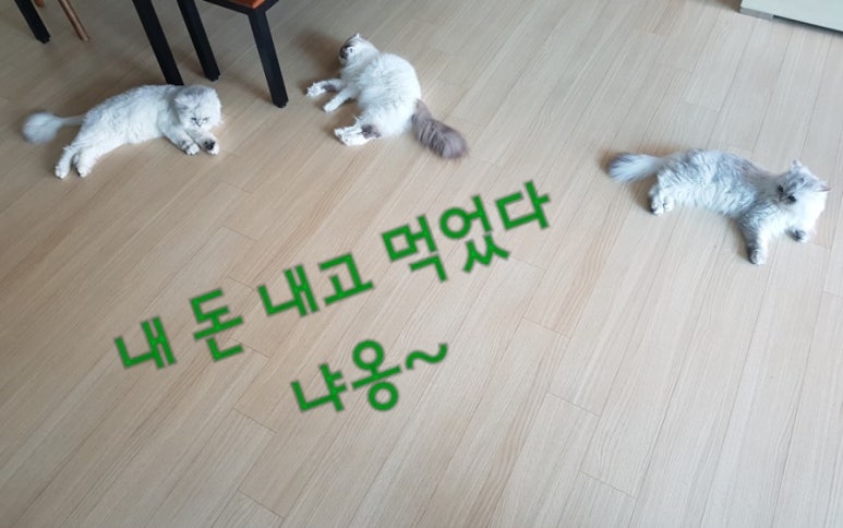 창동빈대떡 이미지