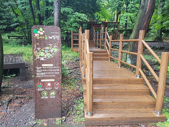 절물자연휴양림 유아숲체험원 이미지