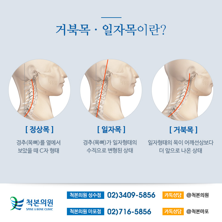 성인정형외과의원 이미지