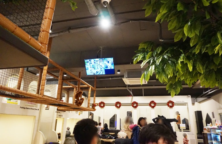 노리파크 분당야탑점 이미지