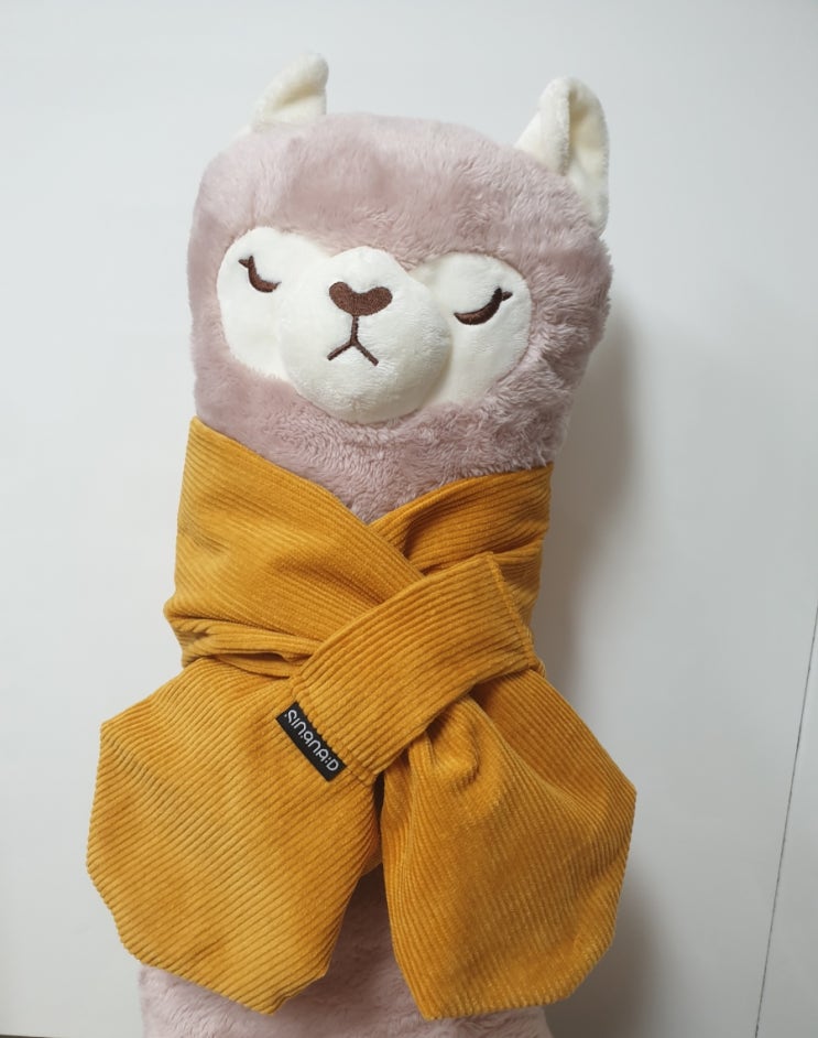 싱나(Singna) 이미지