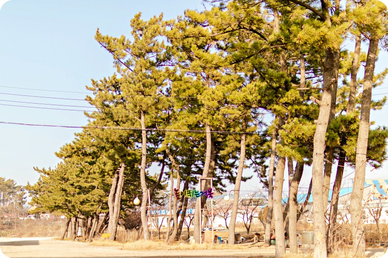 솔밭횟집 이미지