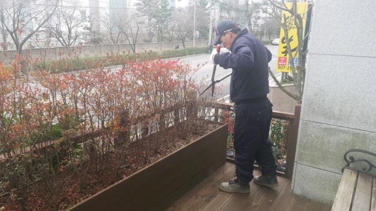믿음조경청소 이미지