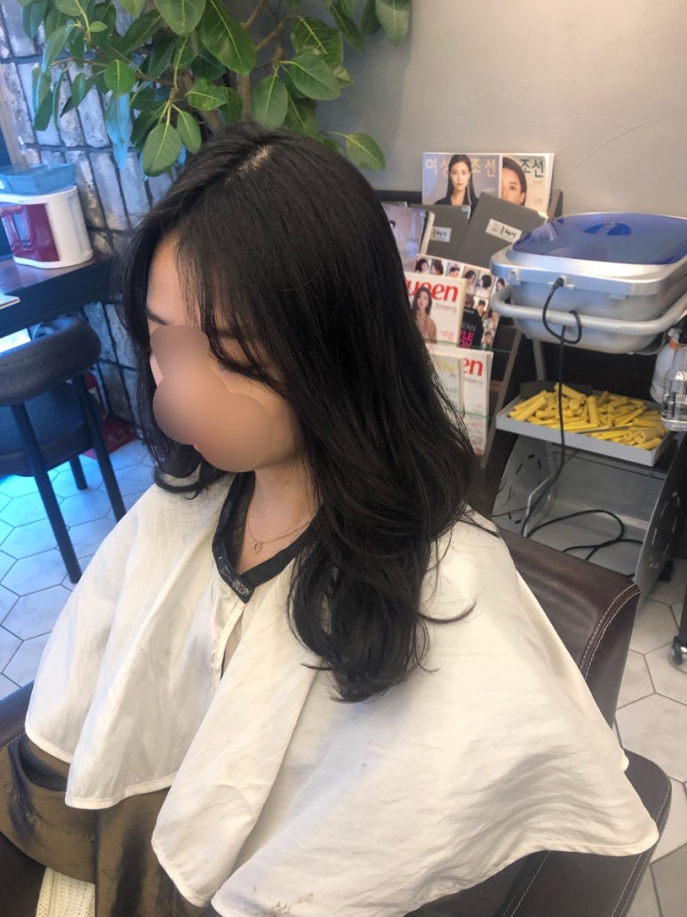 영's헤어 이미지