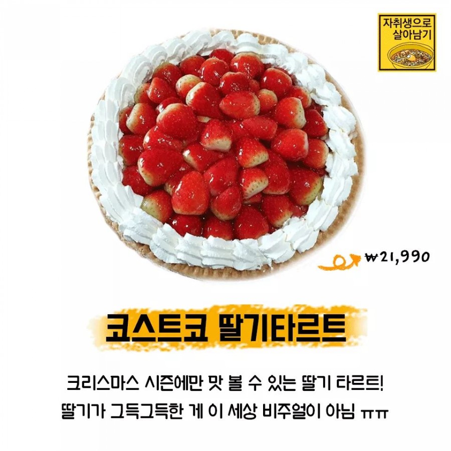 파티마트 이미지