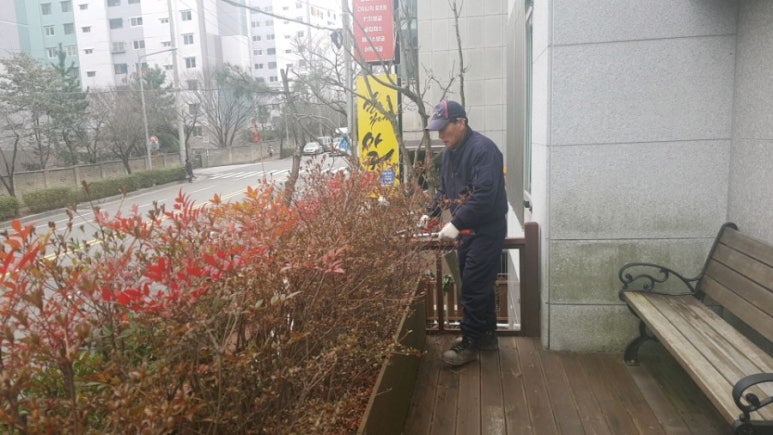 믿음조경청소 이미지