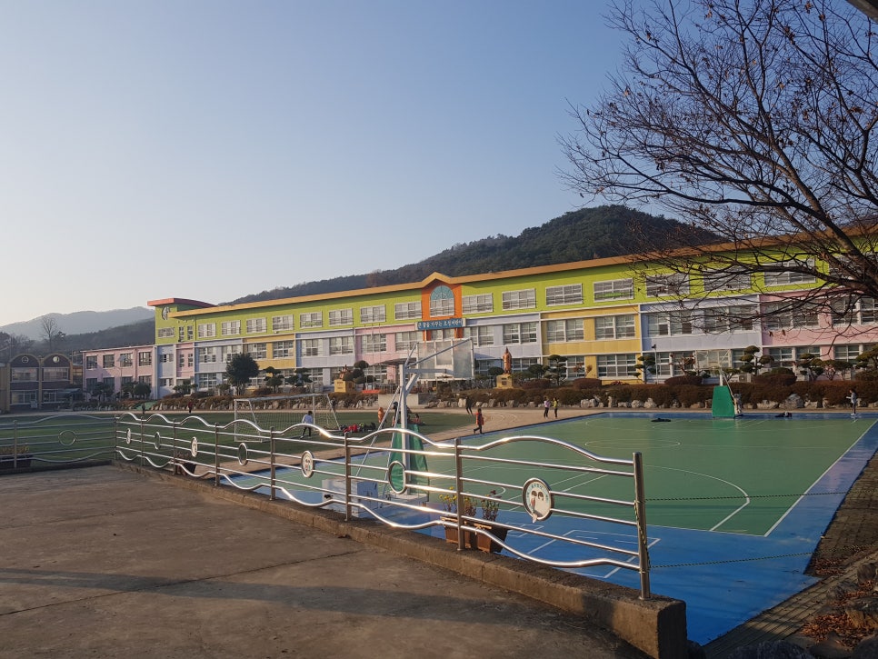 화순오성초등학교 이미지