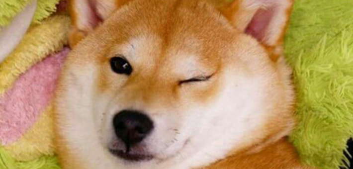 본피씨 이미지