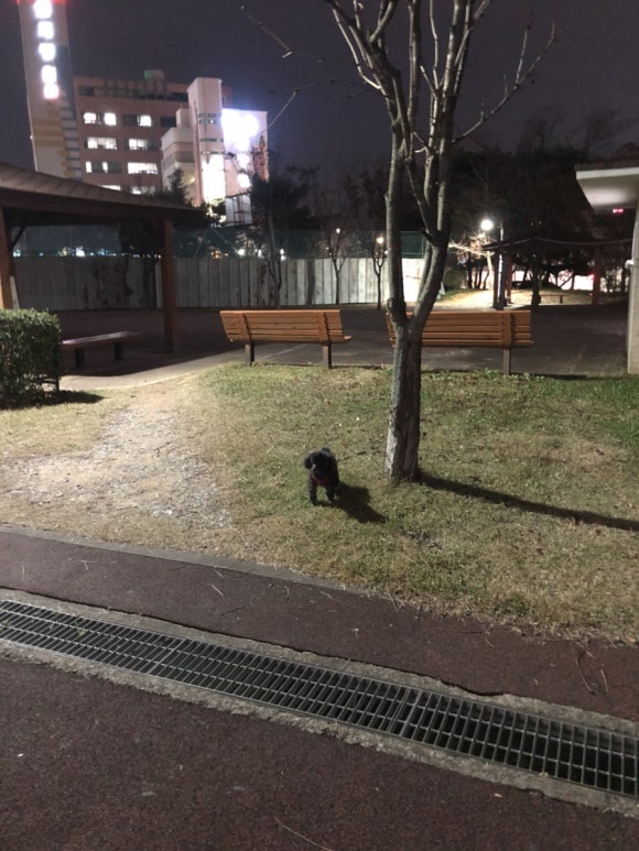 신돈지메 이미지