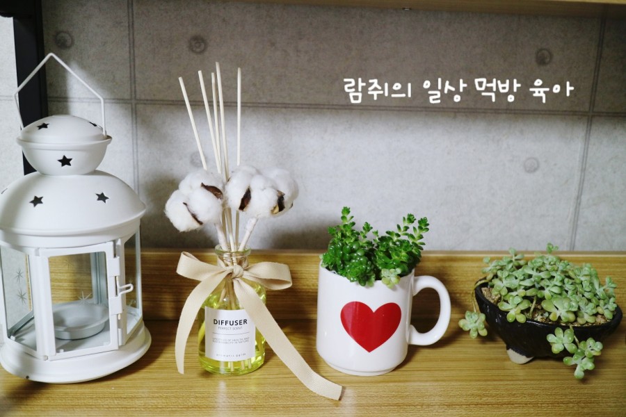 솜디퓨저 이미지