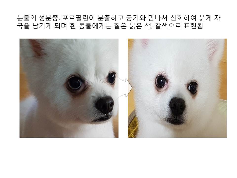 (주)메디푸드글로벌 이미지