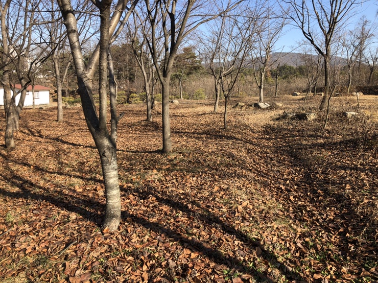 득카페 이미지