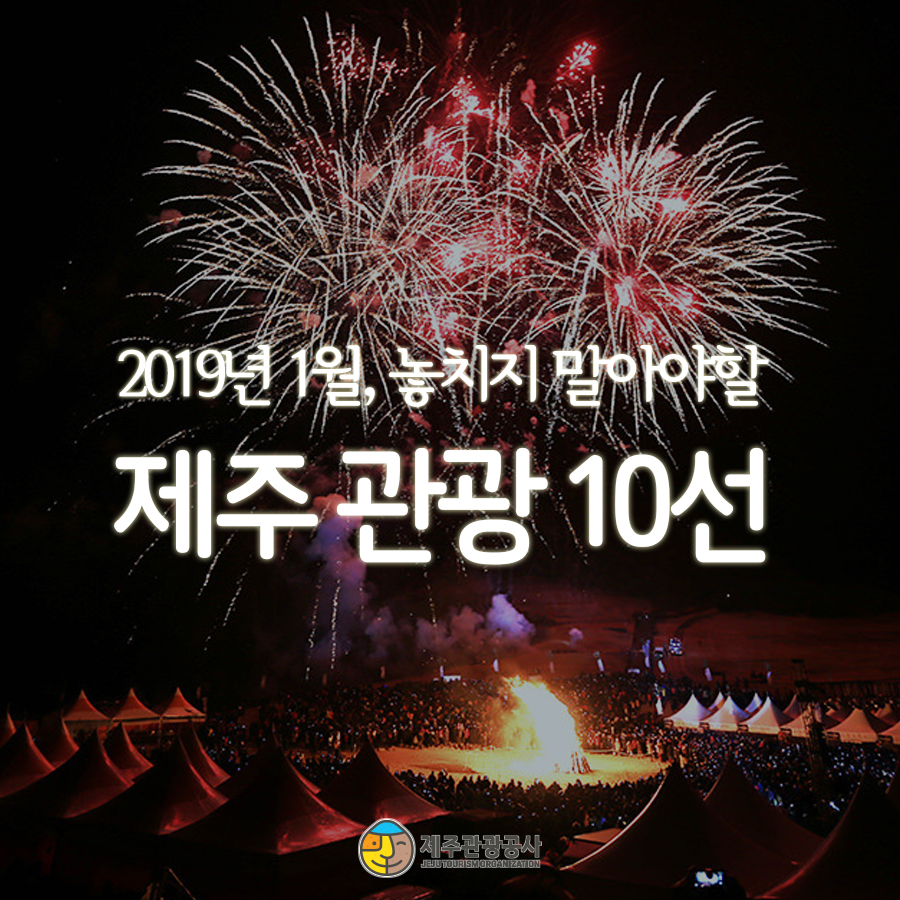 나나관광 이미지