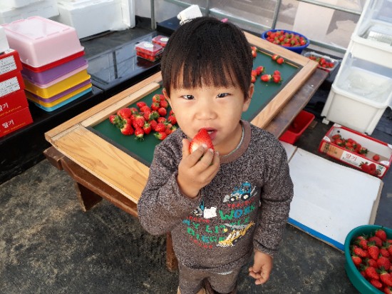 도울마트 이미지