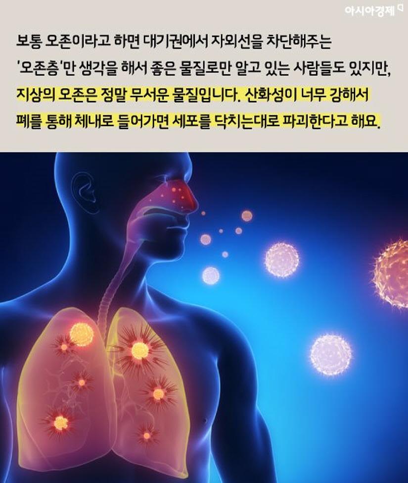 우진클린 이미지