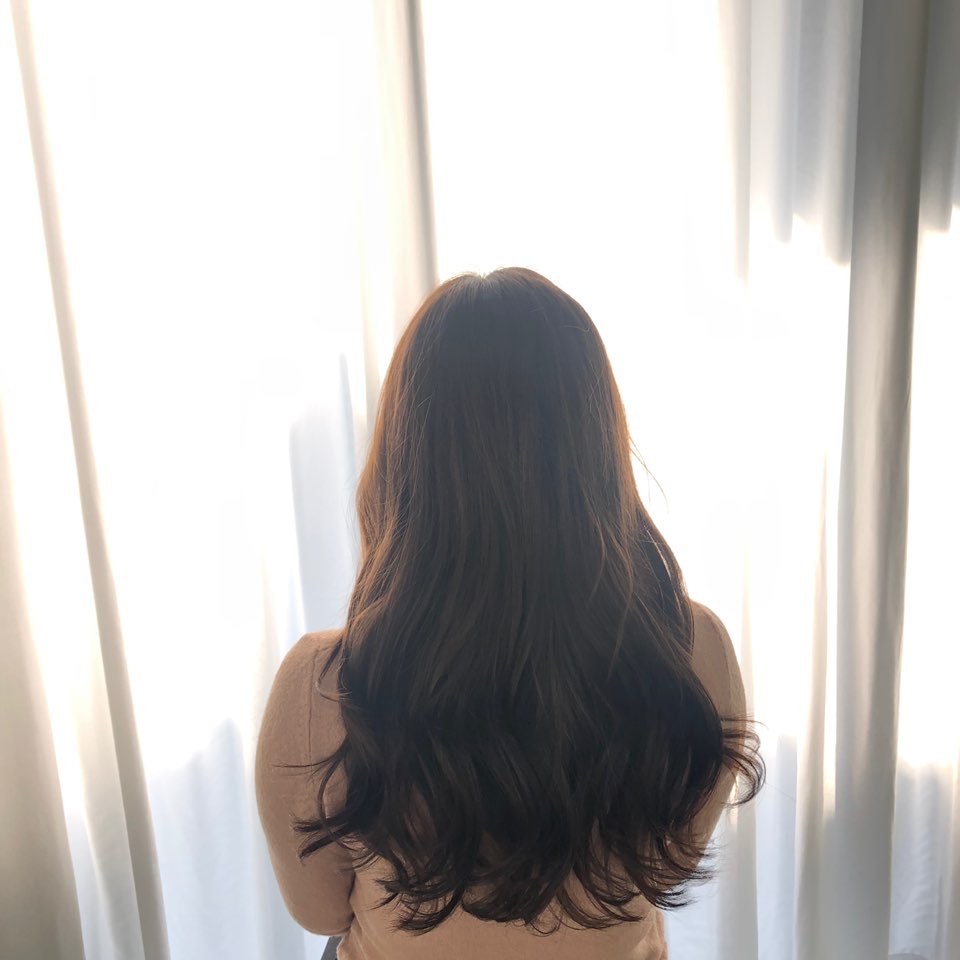 지데이 이미지