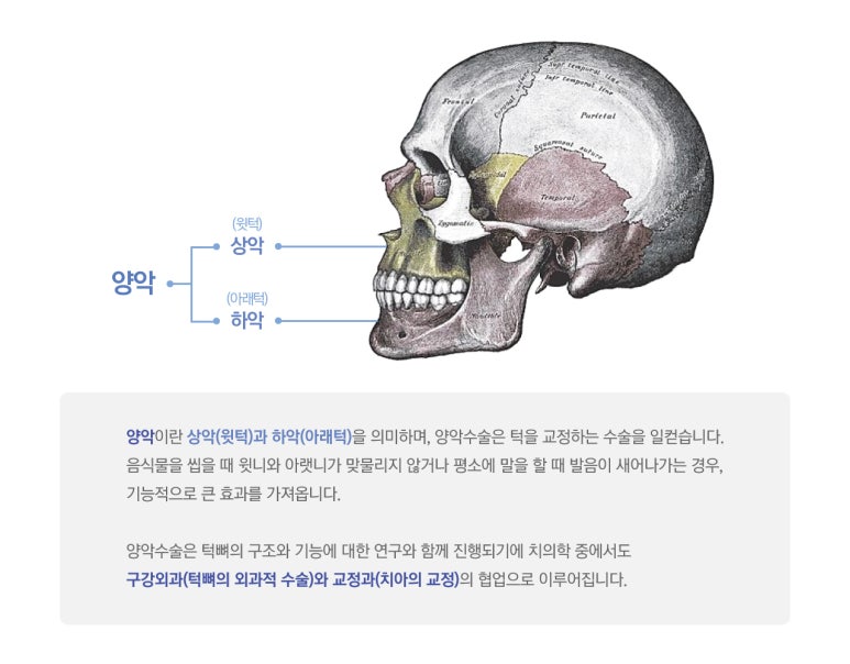 서울이엔이치과의원 이미지