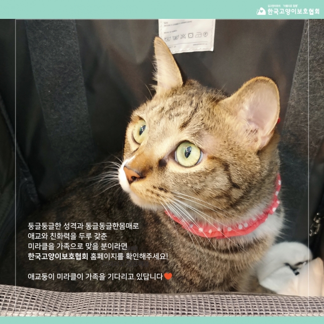 미라클쉼터 이미지