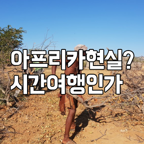 오꼬미 이미지