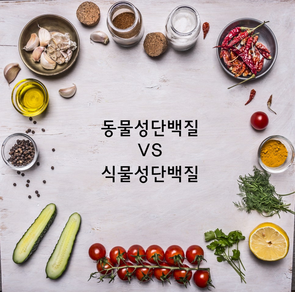 옥스휘트니스 이미지