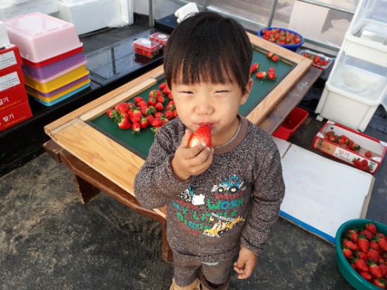 도울마트 이미지