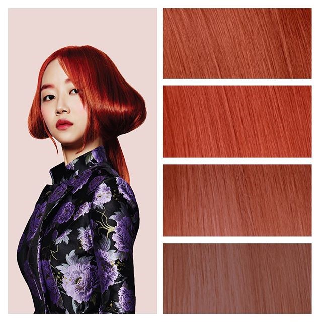 헤어홀릭 이미지