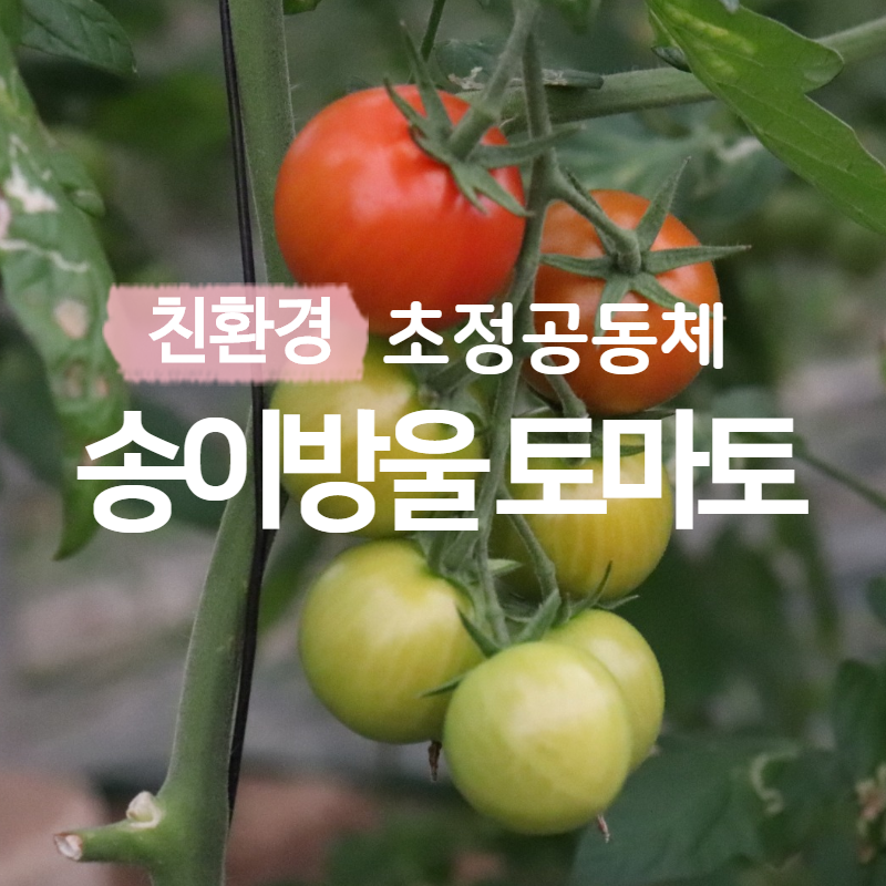 초정공동체 이미지