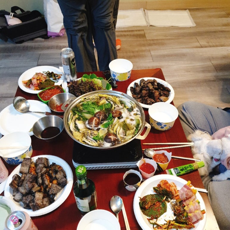 더마루 이미지