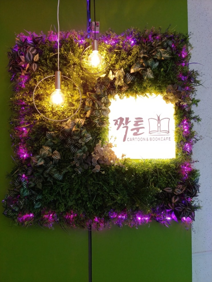 짝툰 이미지