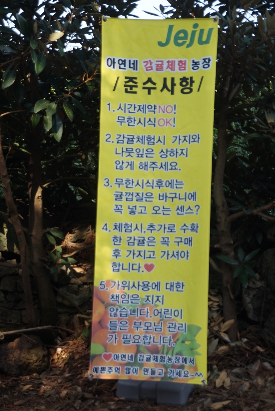 아연네감귤체험농장 이미지