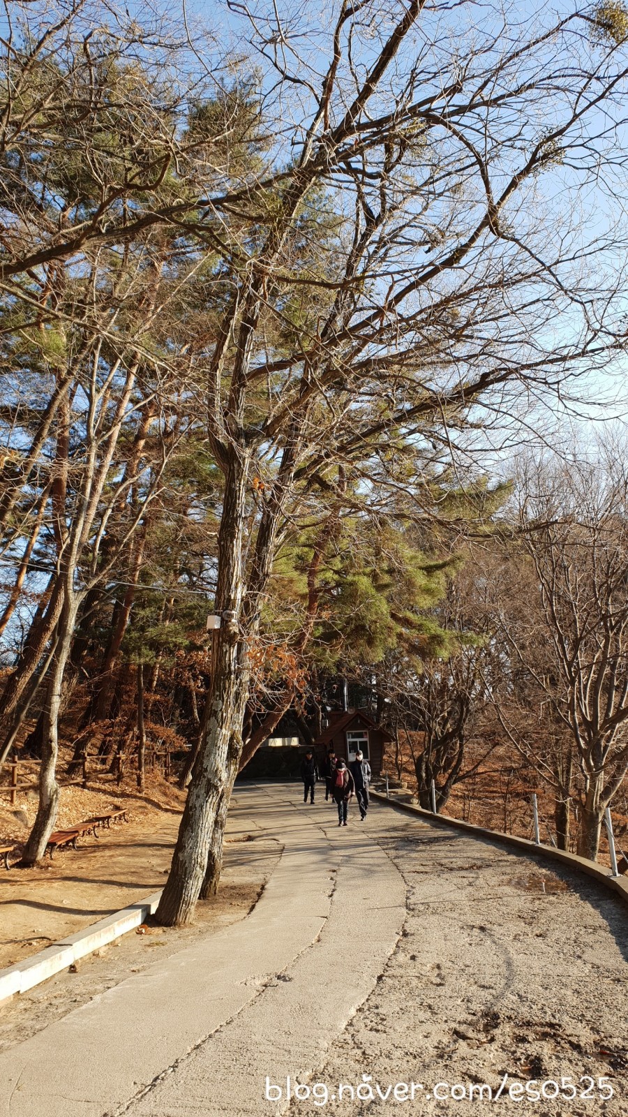 오동화랑 이미지