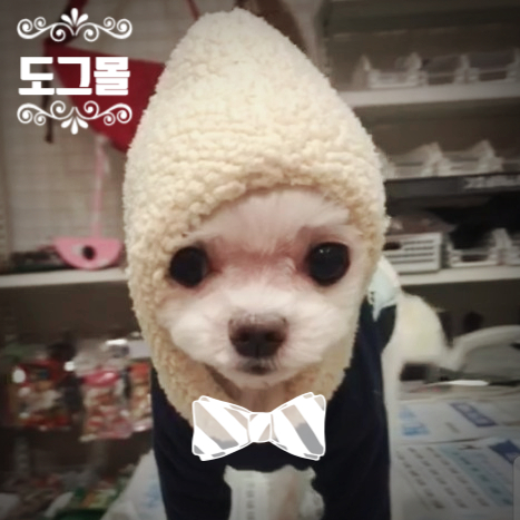 동하몰 이미지