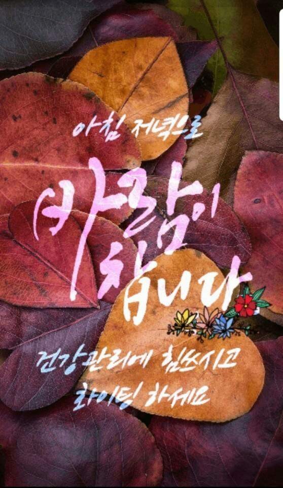점핑클럽 이미지