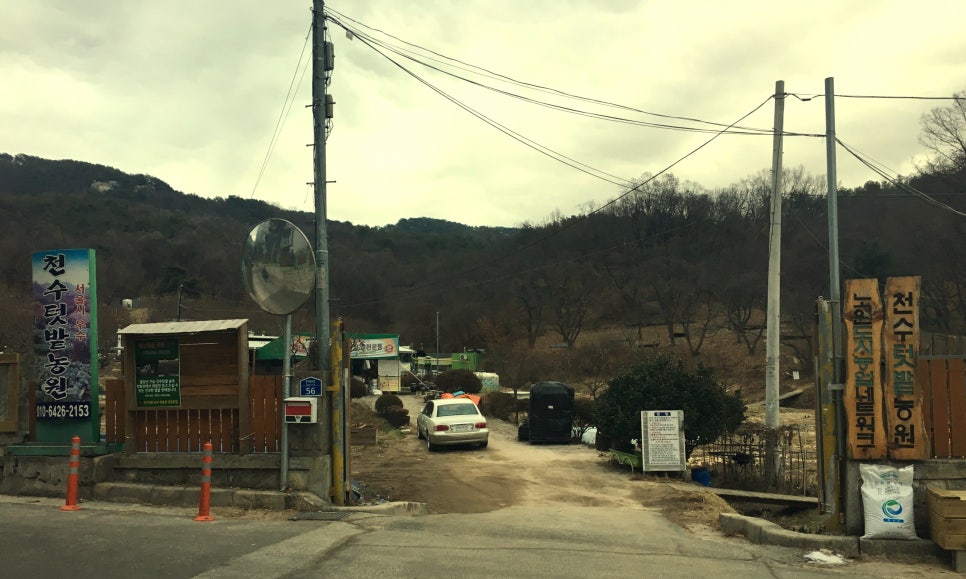 천수농원 이미지
