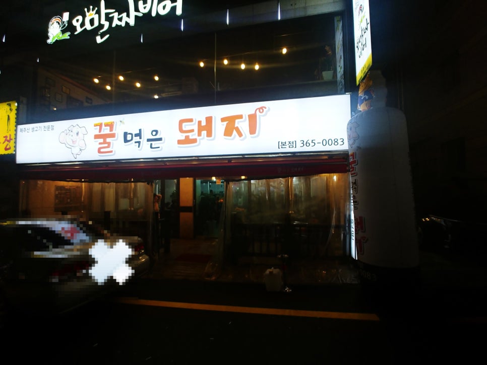 꿀먹은돼지 이미지