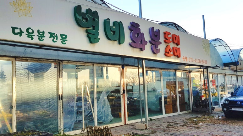 별비다육 이미지