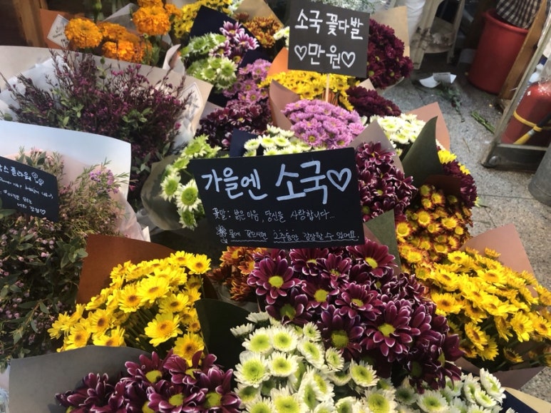 해밀플라워 이미지