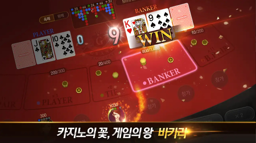바카라 이미지