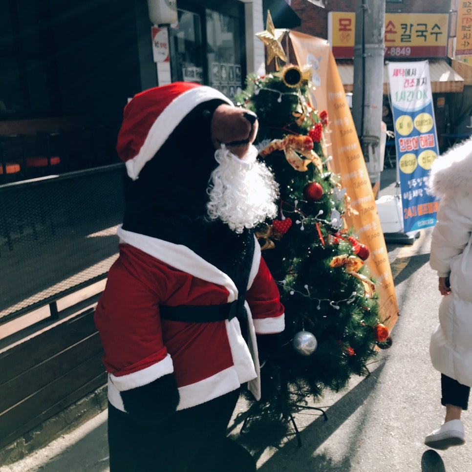 윤짱카레 이미지