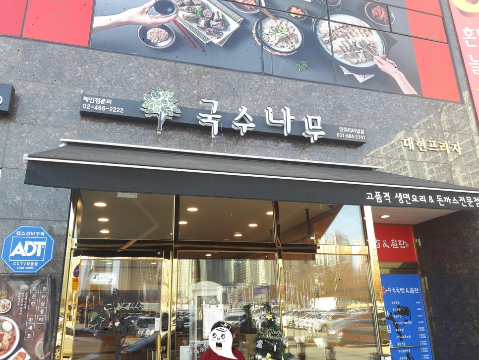 국수나무안중 이미지