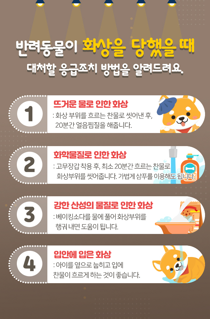 장판24시 이미지