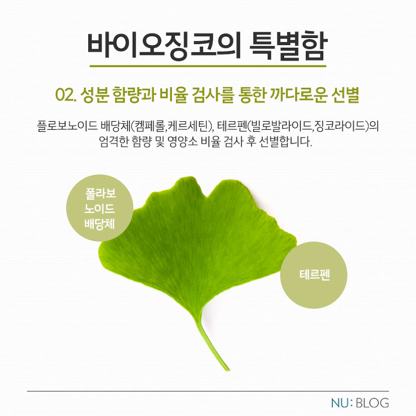 징코바이오 이미지