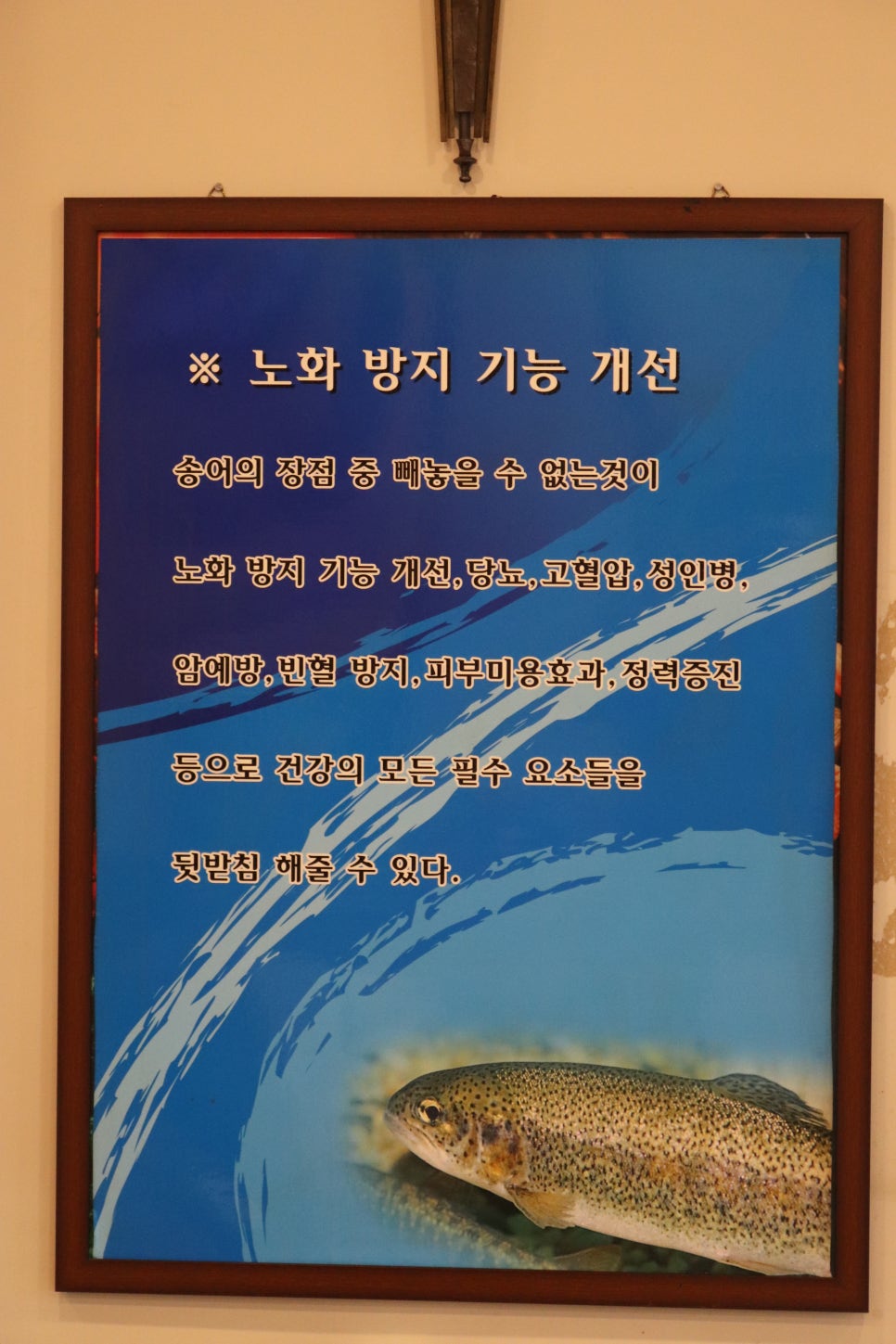 가평송어횟집 이미지