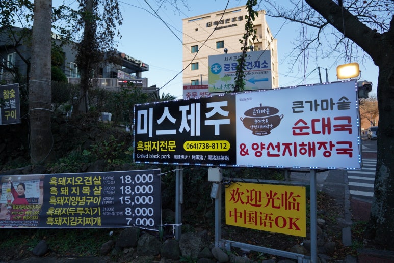 미스켄싱턴 이미지